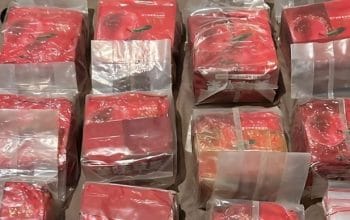 Polisi Bongkar Jaringan Joker Malaysia, Sita 9 Kg Sabu