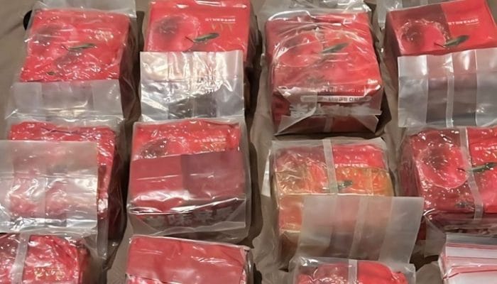 Polisi Bongkar Jaringan Joker Malaysia, Sita 9 Kg Sabu