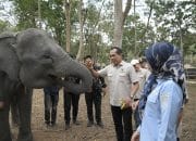 Karhutla Way Kambas Bikin DPR RI Turun Tangan