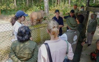 Menhut dan Dubes Norwegia Tinjau Konservasi TN Way Kambas
