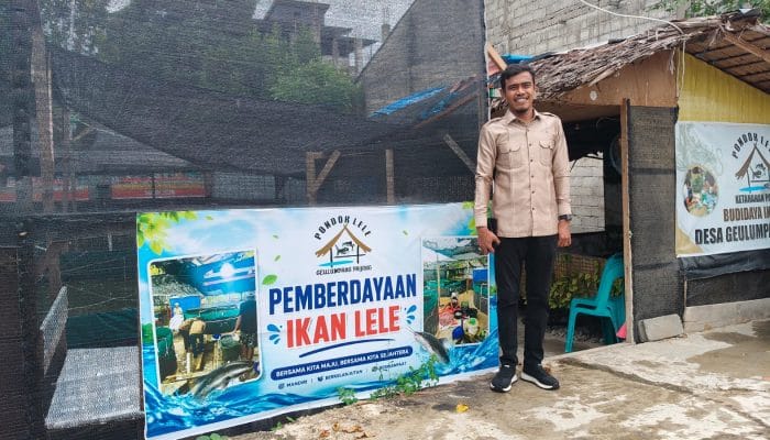 Pondok Lele Geulumpang Payong Abdya Strategi Pangan Wujudkan Desa Mandiri