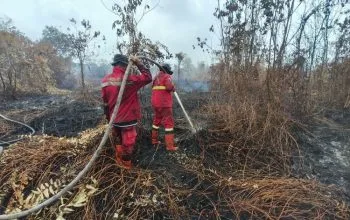 Hotspot Karhutla Turun di Dua Provinsi, Operasi Diperkuat