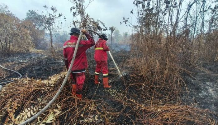 Hotspot Karhutla Turun di Dua Provinsi, Operasi Diperkuat