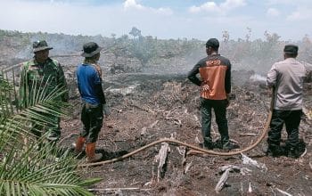 Karhutla Aceh Barat Capai 11,5 Hektare, Api Dipadamkan