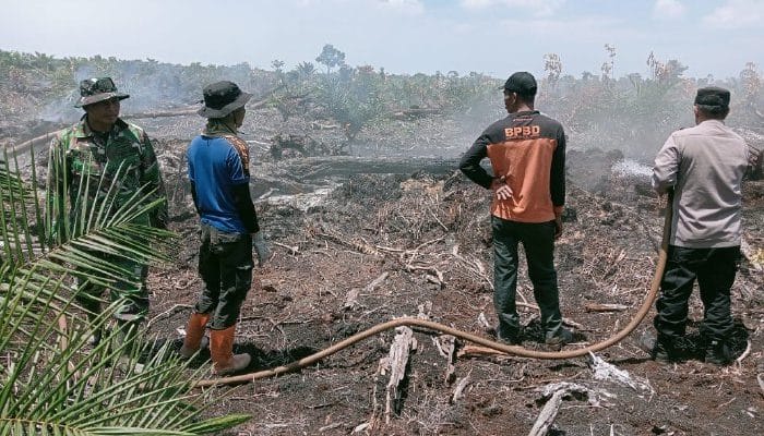 Karhutla Aceh Barat Capai 11,5 Hektare, Api Dipadamkan