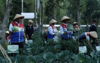PGE Manfaatkan Panas Bumi untuk Olah Limbah Pertanian