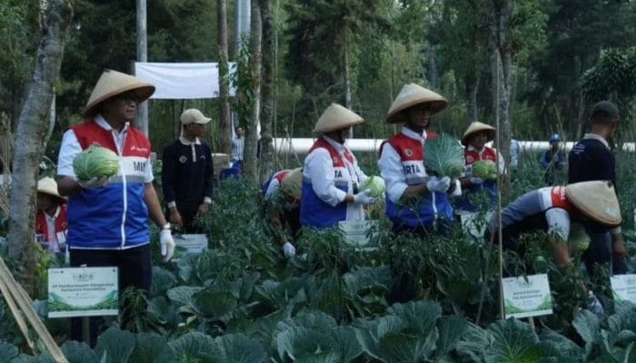 PGE Manfaatkan Panas Bumi untuk Olah Limbah Pertanian