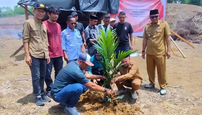 Pemkab Aceh Jaya Kembangkan 60 Hektare Kebun Sawit untuk Eks Kombatan GAM