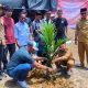 Pemkab Aceh Jaya Kembangkan 60 Hektare Kebun Sawit untuk Eks Kombatan GAM