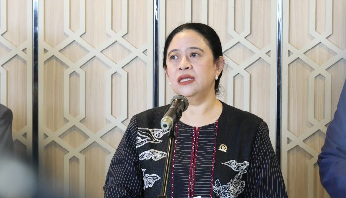 Puan Minta Pemerintah Perkuat Perlindungan Warga Terdampak Karhutla