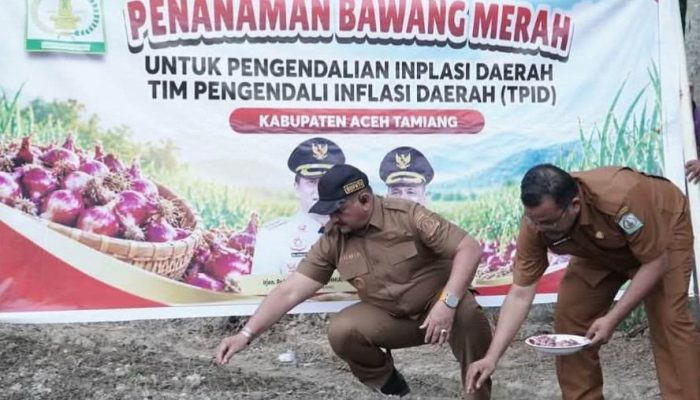 Aceh Tamiang Targetkan Panen 50 Ton Bawang Merah
